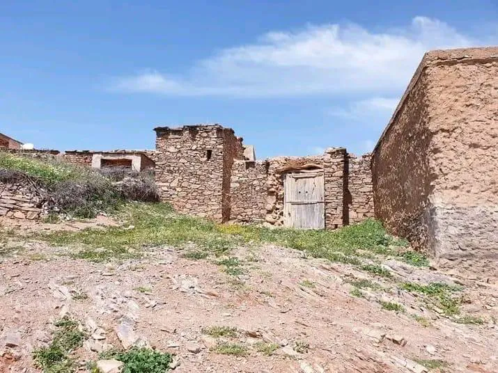 WhatsApp Image 2025-04-04 at 00.51.39_066ead5c