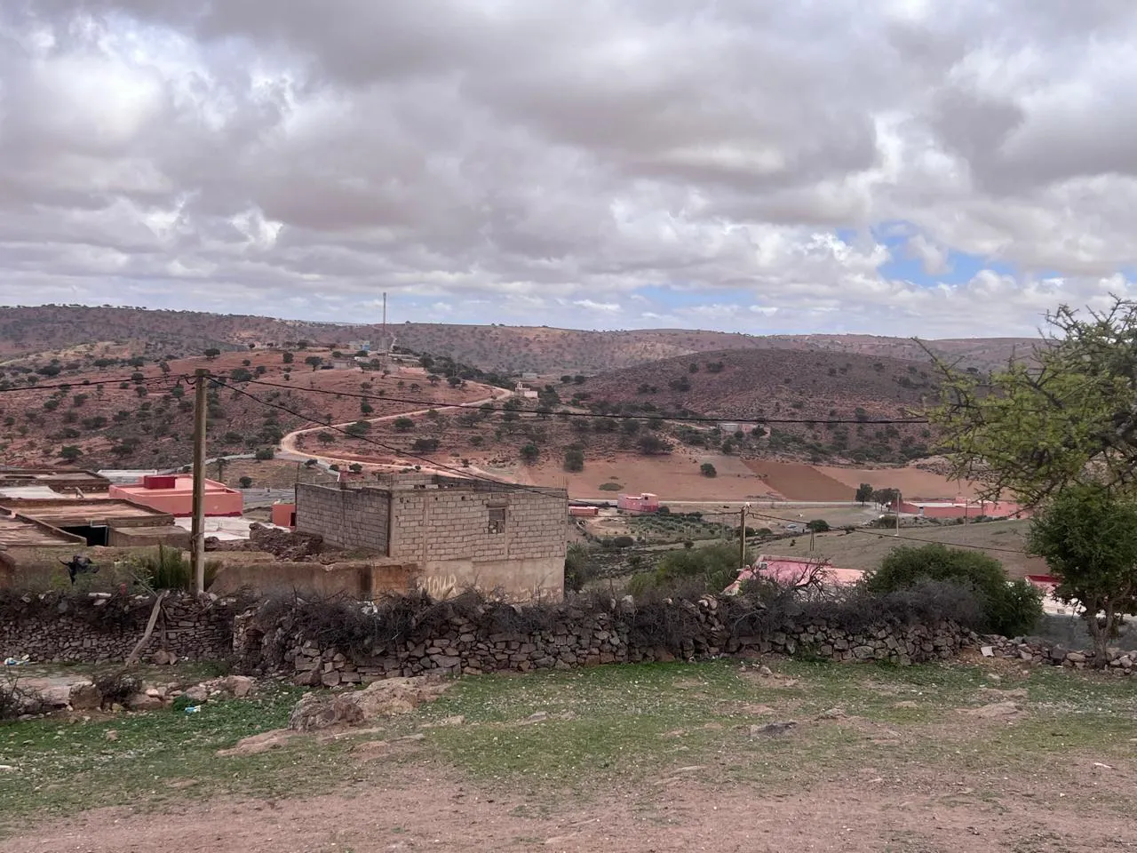 WhatsApp Image 2025-04-04 at 00.51.39_20a8e70c