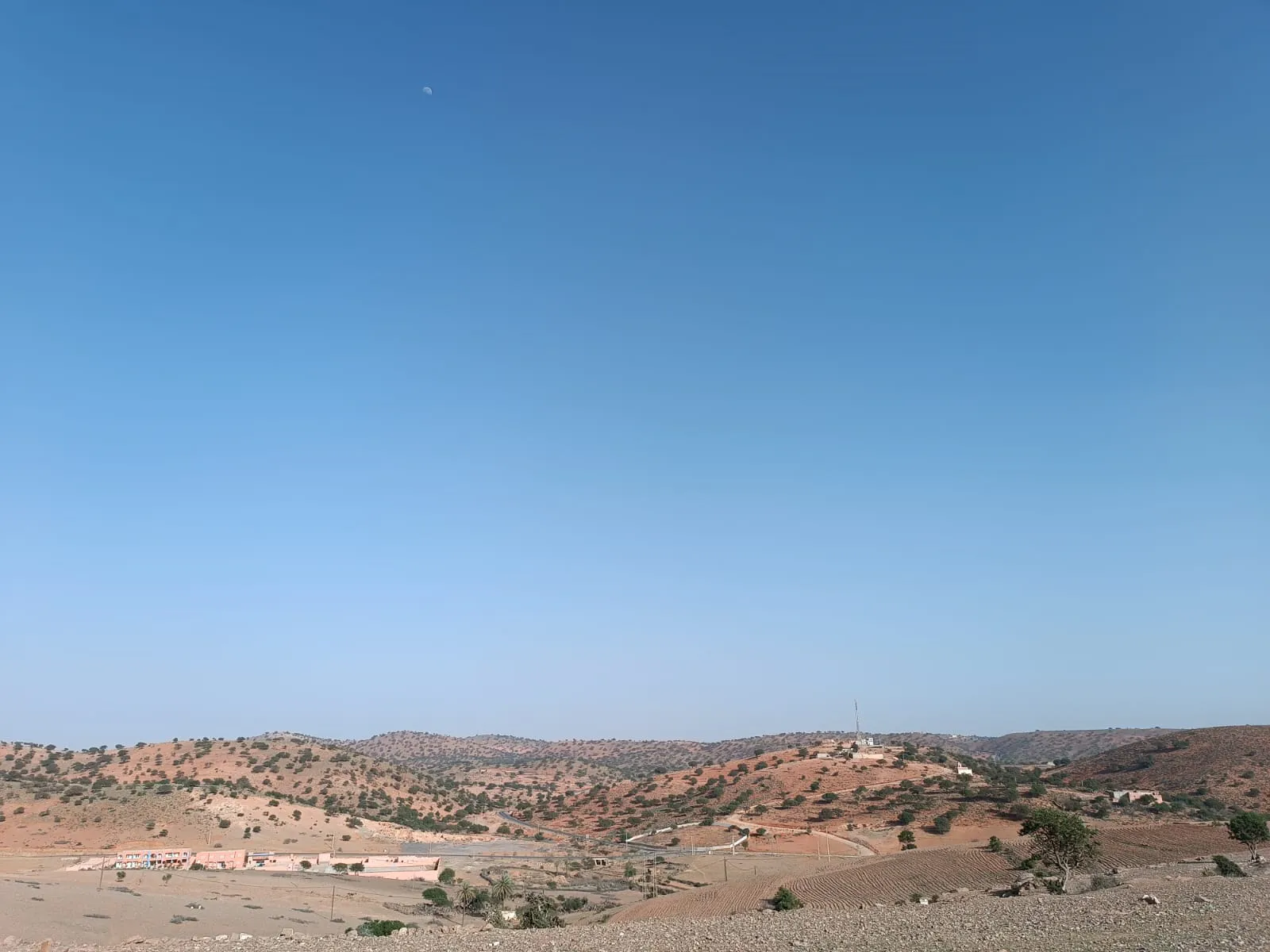 WhatsApp Image 2025-04-04 at 00.51.39_3c6f4a2b