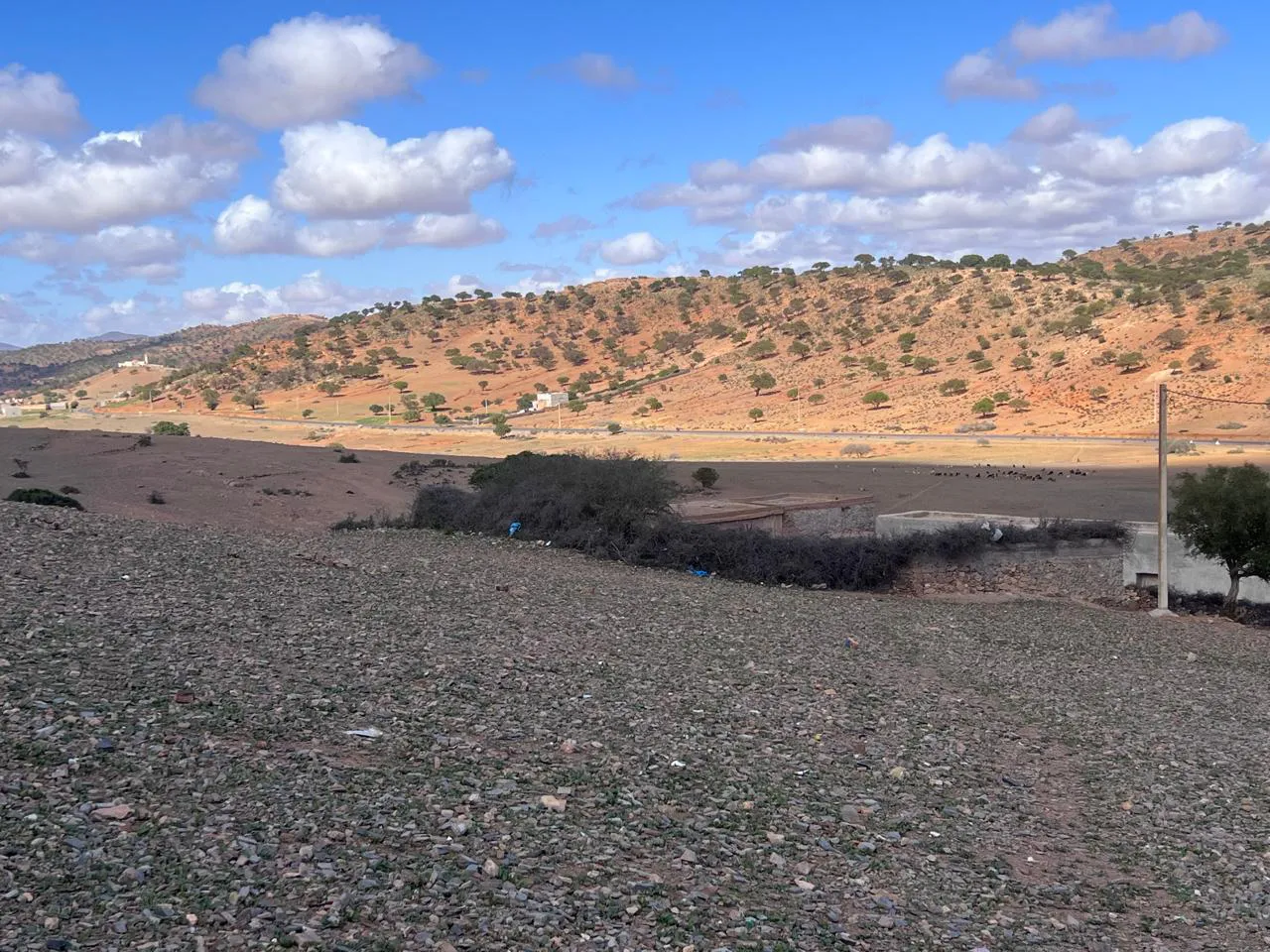 WhatsApp Image 2025-04-04 at 00.51.39_68a6822a