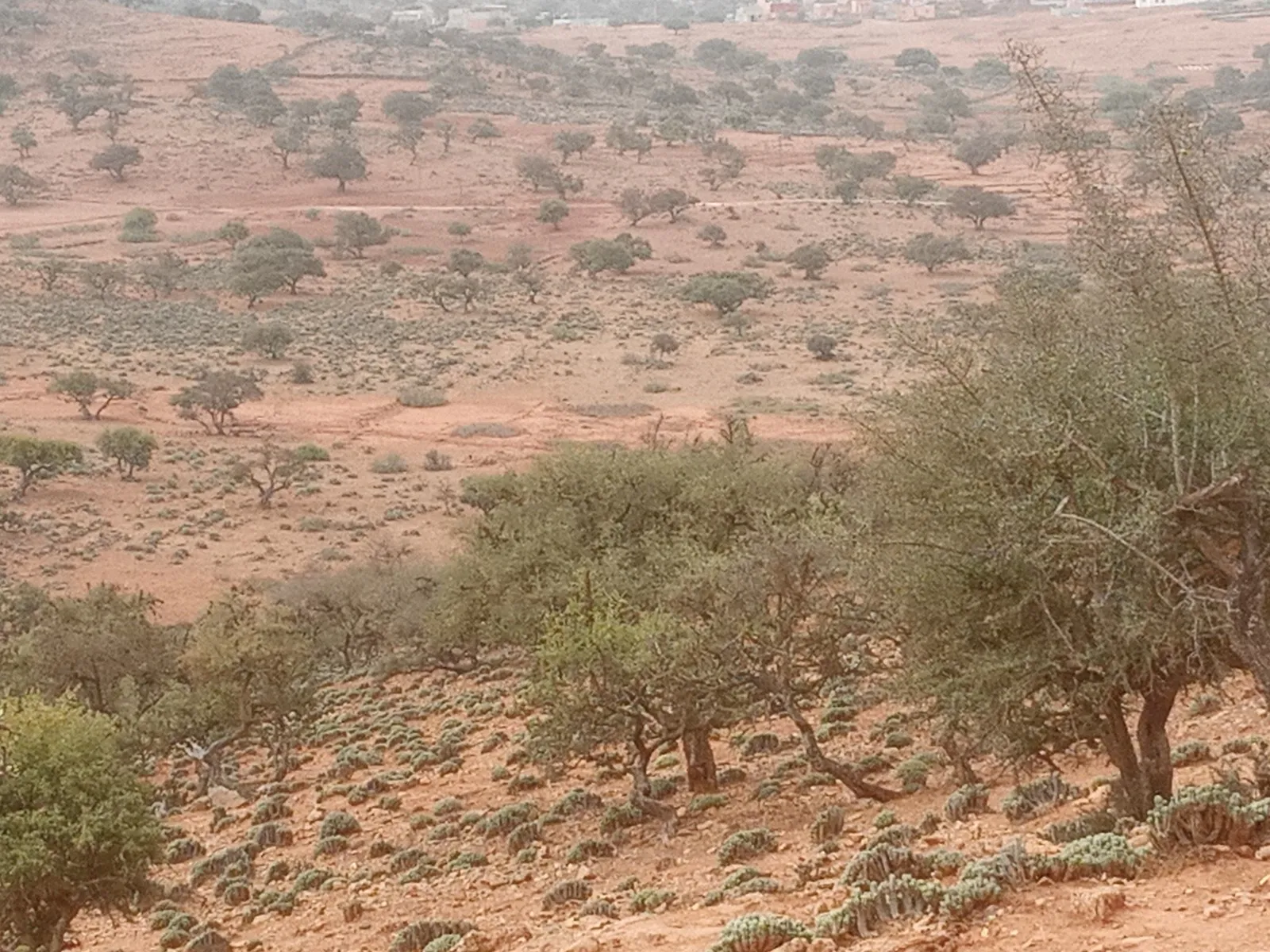 WhatsApp Image 2025-04-04 at 00.51.39_ca982e4b