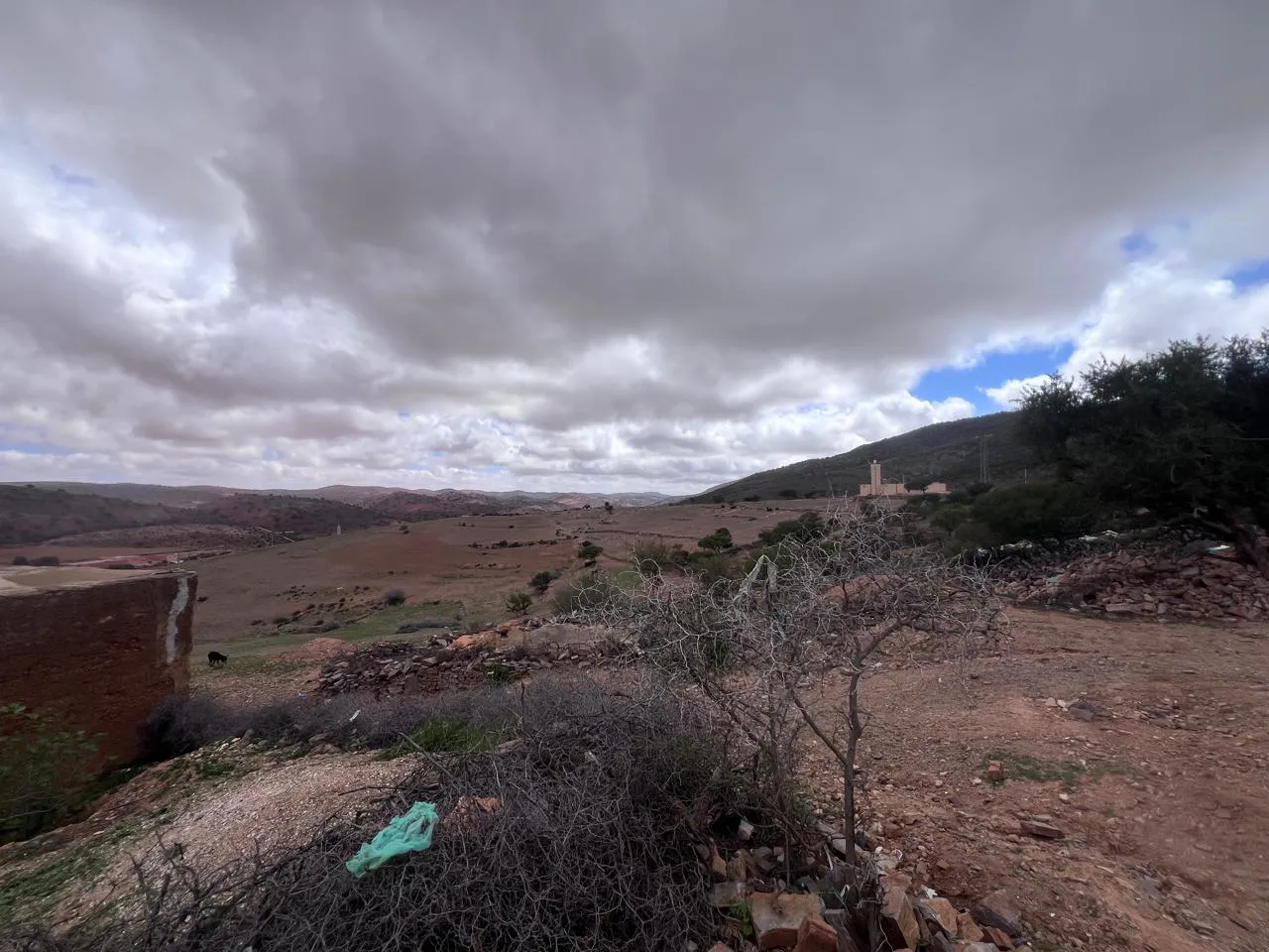 WhatsApp Image 2025-04-04 at 00.51.39_d308727f