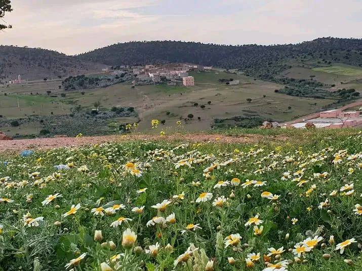 WhatsApp Image 2025-04-04 at 00.51.39_f05d7a3d